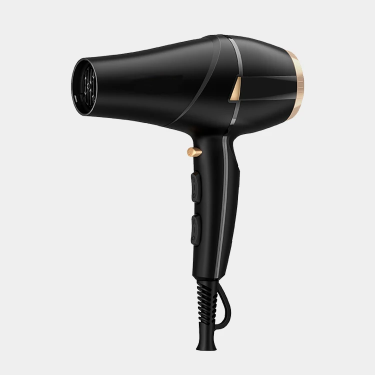 Portable Hair Blower